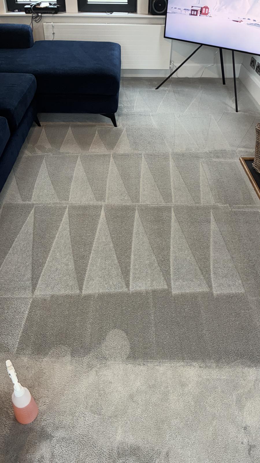 Recent Belfast carpet cleaning job showing fresh cleaning lines in a grey living room carpet
