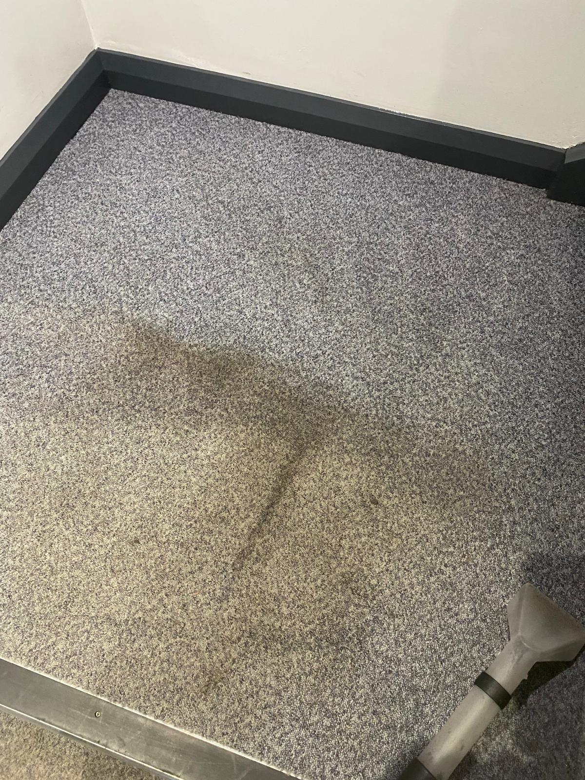 Carpet extraction tool lifting dirt from a grey carpet corner